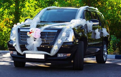Wedding Car Decoration