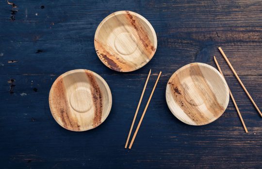 צלחות במבוק2