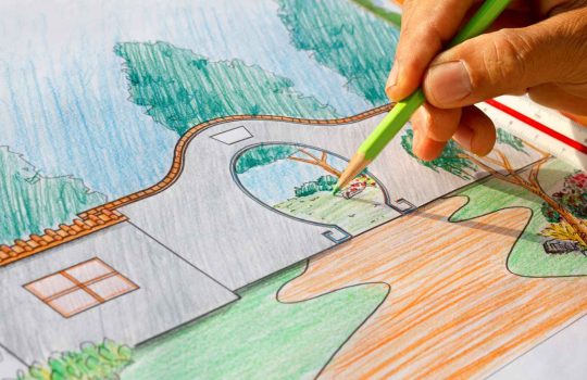 תכנון גינה2